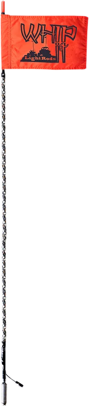 2026_06_02_2124563