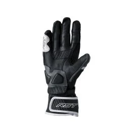 king-moto202606010431241854258
