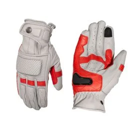 king-moto202606010740231873254