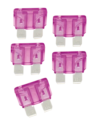 ofc-shop202606010351211850145